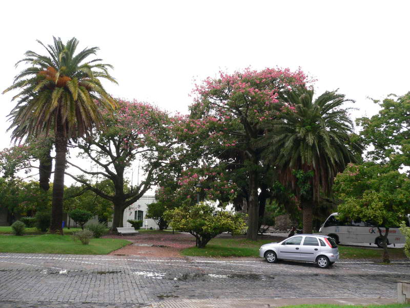 Colonia del Sacramento Uruguay0031